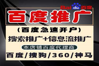 百度竞价排名案例：如何快速提升品牌知名度